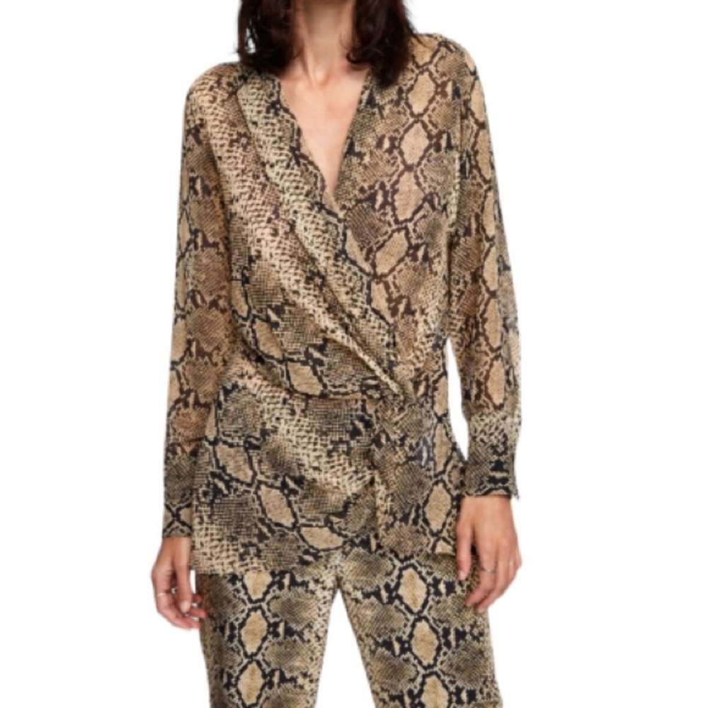NEW Zara Animal Print Long Sleeve Deep  VNeck Size M